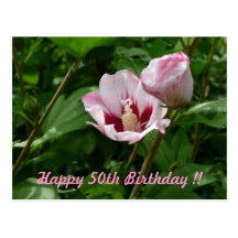 Hibiskus Hibiscus 50. Geburtstag Jubiläum Postkarte