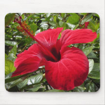 hibiskus in weinrot mousepad