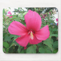 Hibiskus Mauspads
