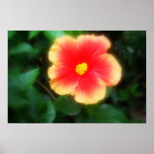 Hibiskus Plakatdruck