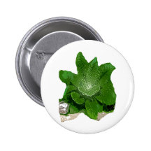 HIERBA BUENA DURCH AES ANSTECKNADELBUTTON