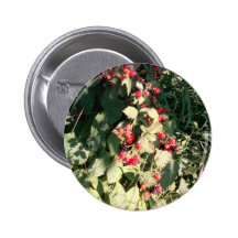 Himbeeren Anstecknadelbuttons