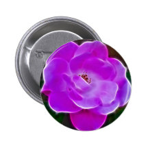 Himmlische rosa Rose und Bedeutung Button