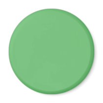 Hintergrund-Farbe - Grün 02 magnete