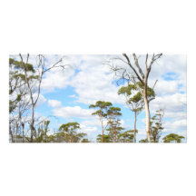Hinterland Australiens Fotokarten