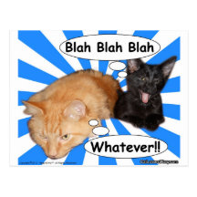 Hippie-Miezekatze Blabla - Blabla was auch immer!! Postkarten