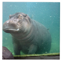 hippo-8 fliesen
