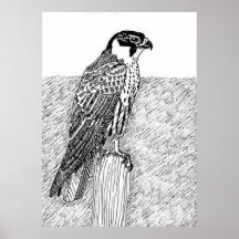 Hobby Posterdrucke