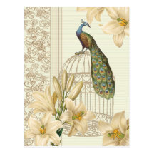 Hoch entwickelter Vintager Pfau u. Käfig-Lilie Postkarten