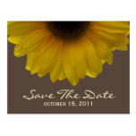 Hochzeit im Herbsts-Sonnenblume-Save the Date Post