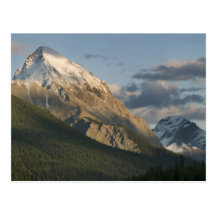 Hohe Spitze nahe Maligne See, Jaspis-Staatsangehör Postkarten