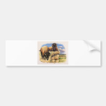 Hoher Ebenen-Bison Auto Sticker