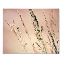 Hoher Gras-Druck 10x8 Fotodruck