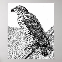 Honig-Bussard Plakat