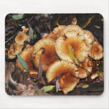 Honig-PilzArmillaria Mellea Mousepad