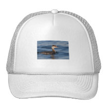 Horned Grebe Mesh Hats