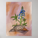 Hornige Kröte mit Bluebonnet Plakat