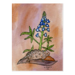 Hornige Kröte mit Bluebonnet Postkarte