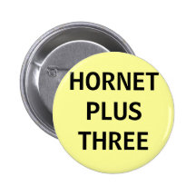 HORNISSE PLUS DREI ANSTECKNADEL