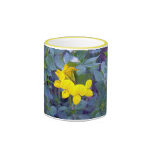 Hornschotenklee 1 Becher Teehaferl