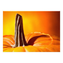 Hübsche orange Kürbis-Einladungen