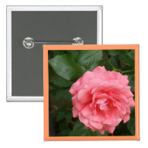 Hübsche rosa Rose Anstecknadelbutton