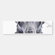 Hübsche Schokolade Labrador Autosticker