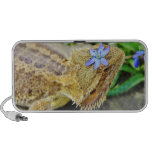 Hübscher bärtiger Drache Notebook Speaker