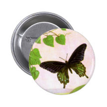 Hübscher grüner Vintager Schmetterling Buttons