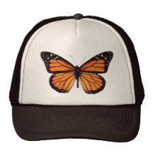 Hübscher Monarch-Schmetterling Netzkappen