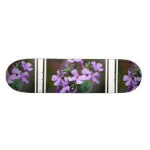 Hübscher Phlox Personalisierte Skateboarddecks
