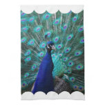 Hübsches Pfau-Küchen-Tuch geschirrtücher