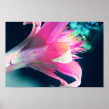 Hübsches rosa Blumen-Plakat