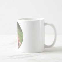 Huhn Kaffee Haferl