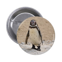 Humboldt Penguin Anstecknadel