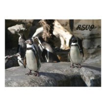 Humboldt-Pinguin Individuelle Einladungskarten