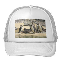 Humboldt-Pinguine Kult Cap