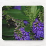 Hummel-Biene Mousepad