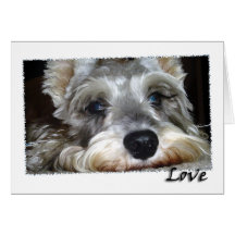 HUND: Mini deutscher Schnauzer w/Love Karte