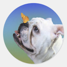 Hund und Schmetterling Sticker