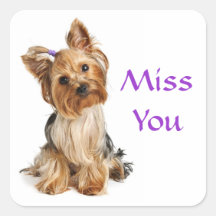 Hündchen-Aufkleber Fräulein-You Yorkshire Terrier