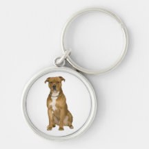 Hündchen Keychain amerikanischen Staffordshires Te Schlüsselanhänger
