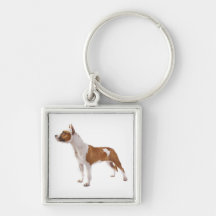 Hündchen Keychain amerikanischen Staffordshires Te Schlüsselband