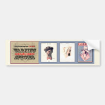 HundeFighting ist- ein Verbrechen (v1) Auto Sticker