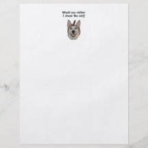 Hundekatzen-Maus Flyer