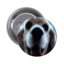 Hundeknopf Button