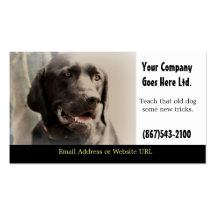 Hundetrainings-Service-Visitenkarte