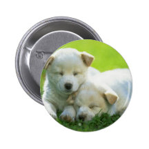 HUNDEunterstützung OBAMA Anstecknadelbuttons