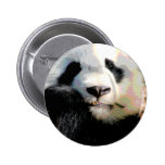 Hungriger Panda Anstecknadelbutton