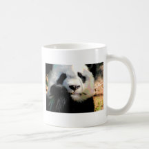Hungriger Panda Kaffee Tasse